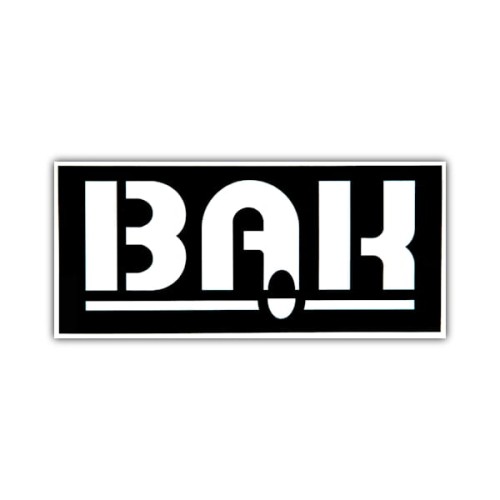 Szablon do malowania WSK - BĄK