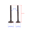 ZY80054w - Zawór ssania + wydechu 50ccm 4T GY6 kpl.png